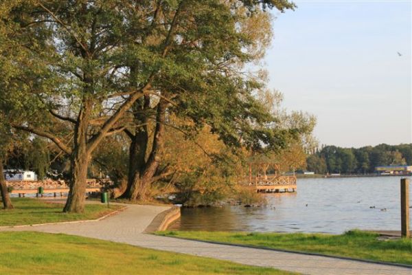 Burwar nad jeziorem Trzesiecko w Szczecinku