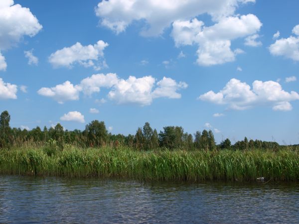 zdjecie Sielpia Wielka