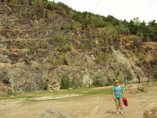 dużo tu tego kruszcu ukryte ! - ale "jak nadgryś " ? - no, ale po co szukać ? - jak skarb na pierwszym planie !