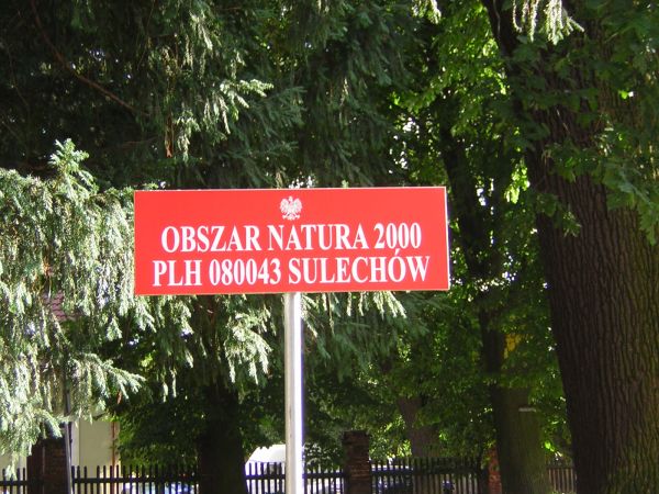 zdjecie Sulechów