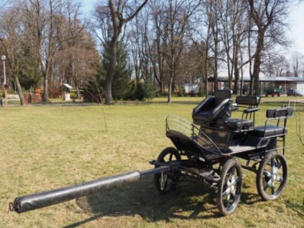 ubogacenie scenerii na terenach przyszkolnych - może też i propozycja do wykorzystania w prowadzonym w przyszłości gospodarstwie - a studiują tu też architektur