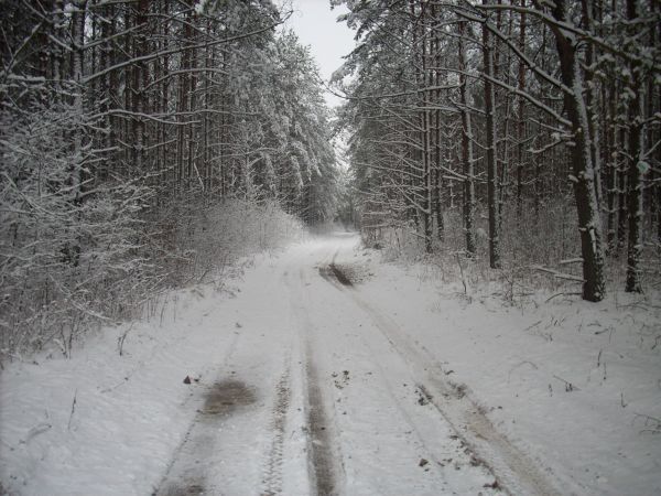 zdjecie Piłatowszczyzna