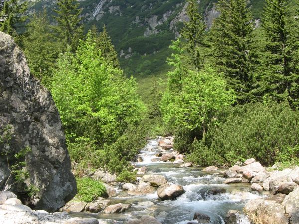 zdjecie Zakopane