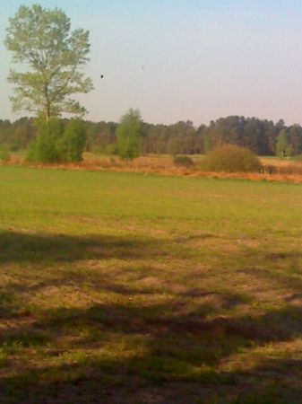 zdjecie Niwki Książęce