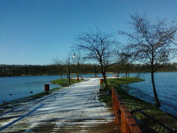 Wolsztyn widok na jezioro