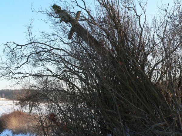 Niestety miejscowość ta chyli się ku upadkowi tak jak ten przydrożny krzyż. Ma to też swoją zaletę w postaci spokoju.