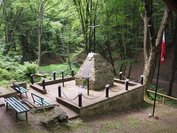 miejsce martyrologii w Lesie Grabińskim - uwiecznione pamiątkowym obeliskiem ustawionym w miejscu, gdzie hitlerowcy 24 VII 1944r. rozstrzelali 72 mężczyzn - ucz