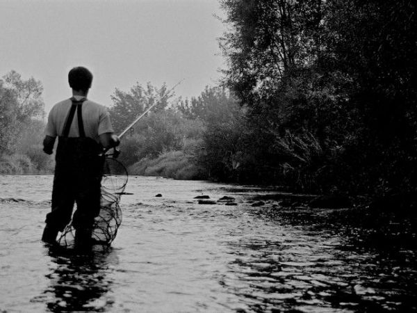 Rzeka Wisłok nad którą leży Strzyżów.