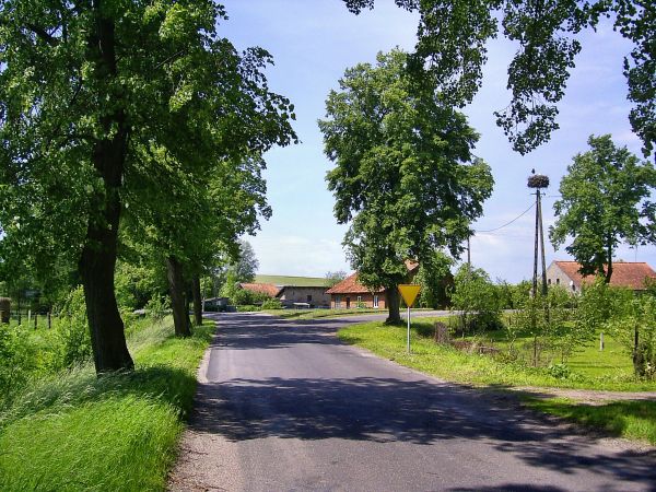 Mnichowo-szosa dojazdowa z Robaw do Mnichowa. 2010 r.