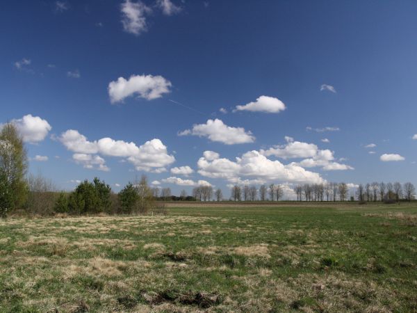 zdjecie Tyniewicze Duże