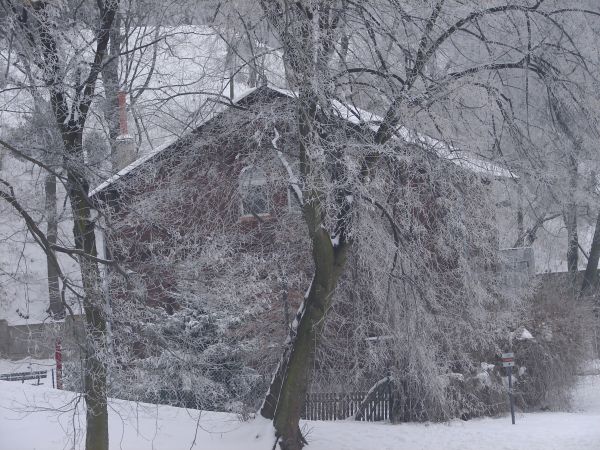 Forty Napoleonskie w Gdansku