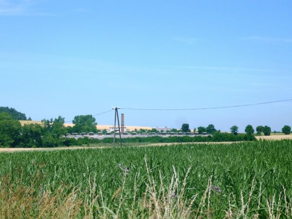 Chwaliszewo - fragment.