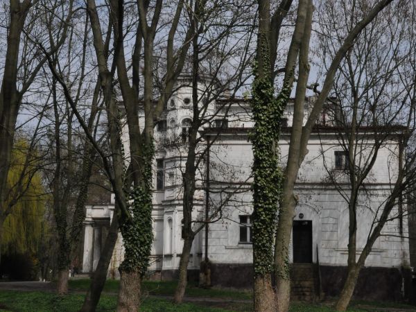 Rakoniewice, Pałac w parku.