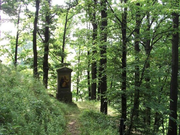 Ścieżka drogi krzyżowej na Górze Kalwarii.