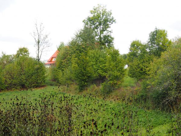 fragment dachu za zakrzaczeniem : Dom Rekolekcyjny QUO-VADIS.