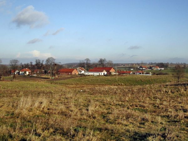 Panorama Wólki Ryńskiej od południowo-zachodniej strony,w tle styłu na horyzoncie wioska Klewno,1 km. od Reszla i Wólki Ryńskiej. Na pierwszym planie zabudowani