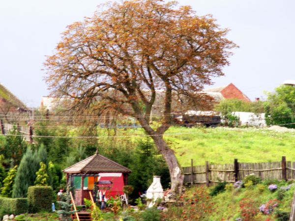 Stara Korytnica - ogród nad rzeką
