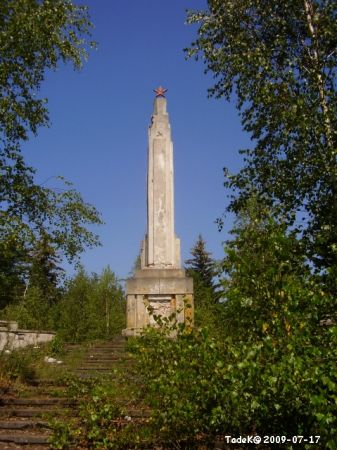 Wśród brzóz i cyprysów obelisk ...