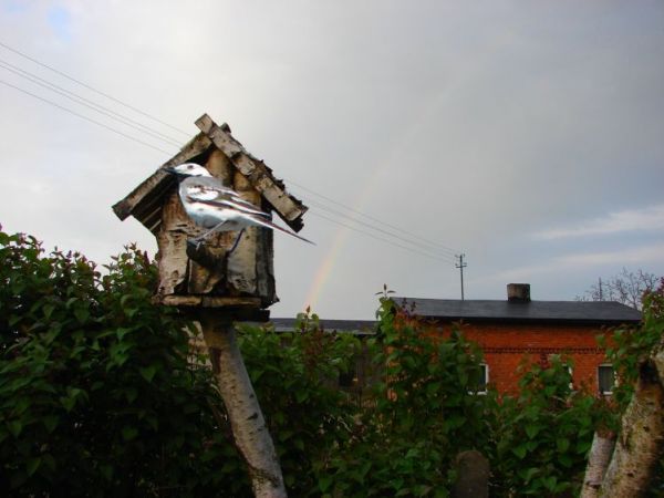 Po burzy. Stare , ludowe przysłowie mówi:każda pliszka swój ogonek chwali. Coś w tym jest... ...i niech tak zostanie.