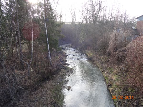 koryto rzeki Pielnicy, bywa, że trudnej do "okiełznania", prawy dopływ Wisłoki.