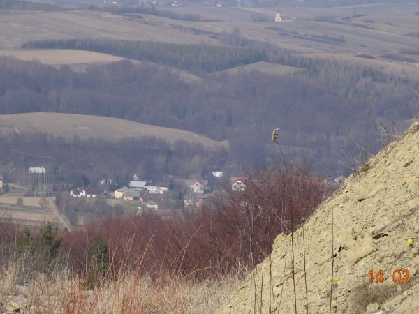 Pogórze Bukowskie - na progu wiosny, hen : kościół w m. Dudyńce /jest galeria - zapraszam/.
