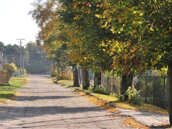 ul. Lipowa jesienią