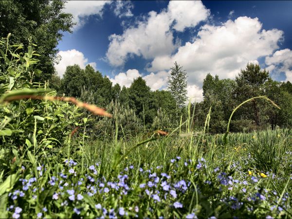 zdjecie Tyniewicze Duże