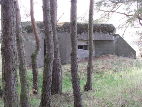 Schron nr 1 Armii "Poznań". Widok od strony ścieżki prowadzącej w kierunku schronu.