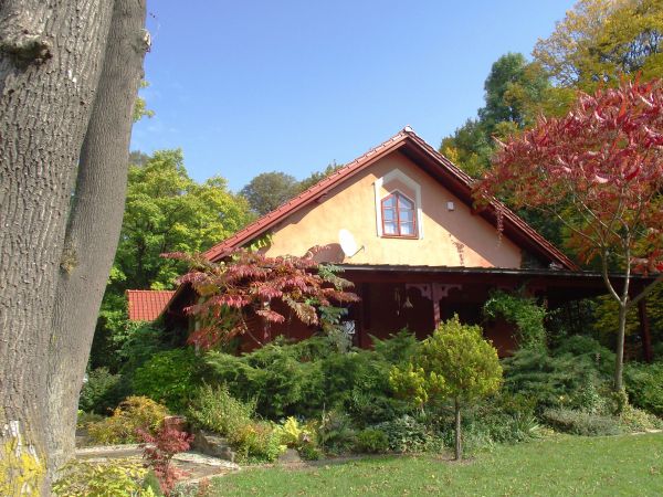 w parku podworskim - nasadzenia krzewów, drzew i skalniaków.