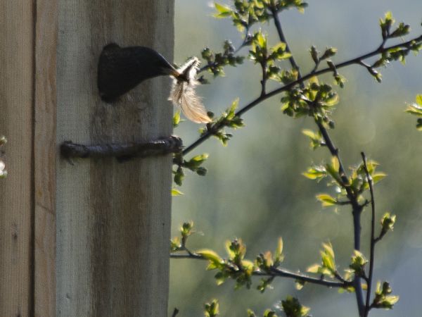 zdjecie Białka Tatrzańska