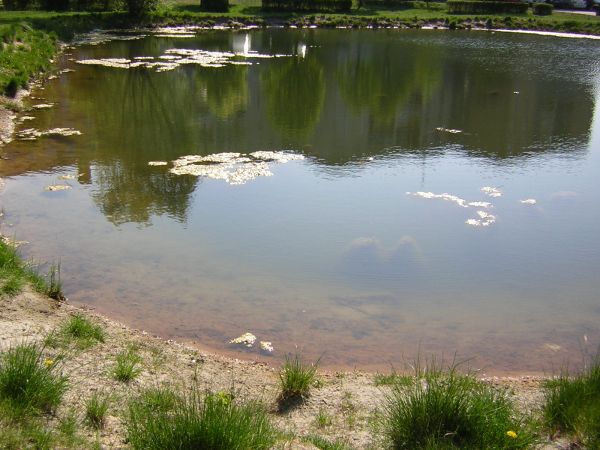 zdjecie Sulechów