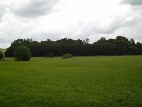 zdjecie Orłów Murowany