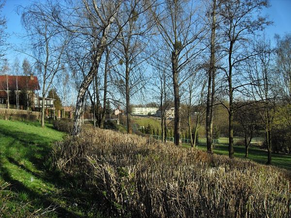 Park przy Rondzie Wałaszewskiego