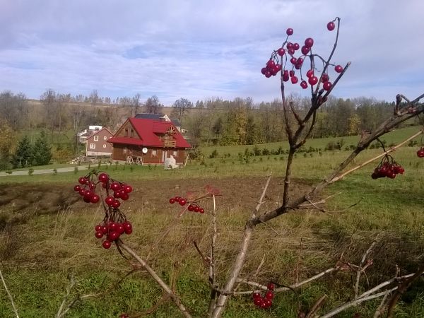 Dziwiszów (niem. Berbisdorf) – wieś w Polsce położona w województwie dolnośląskim