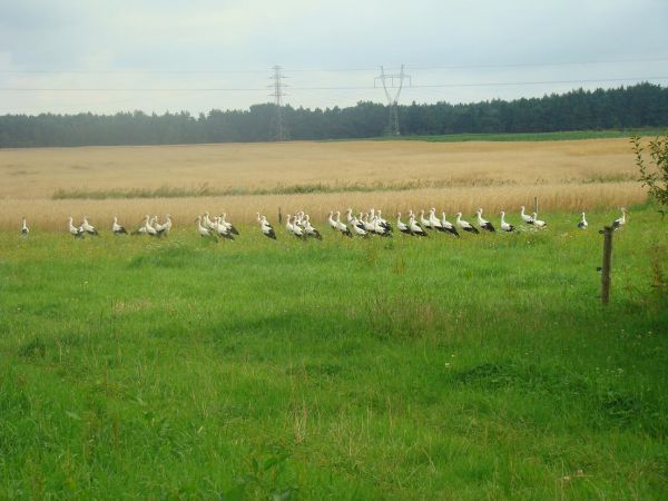 Zdjęcie zrobiłę dnia 24,07,2009 o godz 07;08  
  Ale był widok