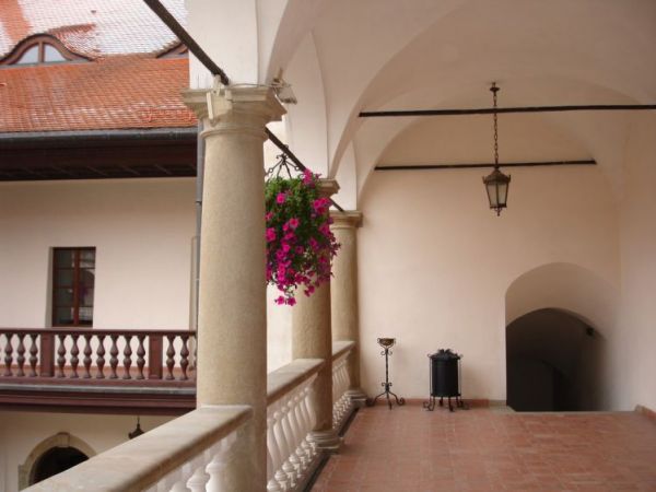 zdjecie Niepołomice