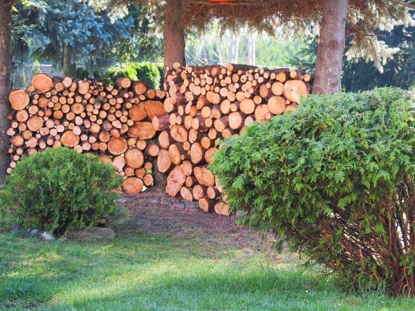 zdjecie Pietrzykowice