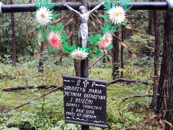 Mogiła w lesie z okresu II-ej wojny.