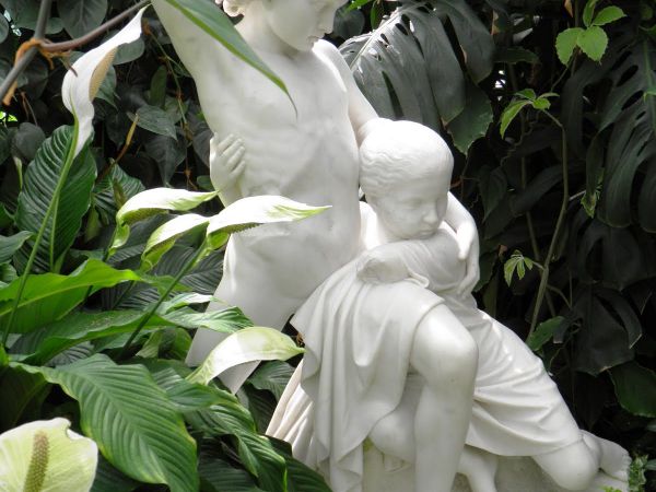 Zamek - Muzeum w Łańcucie. Storczykarnia