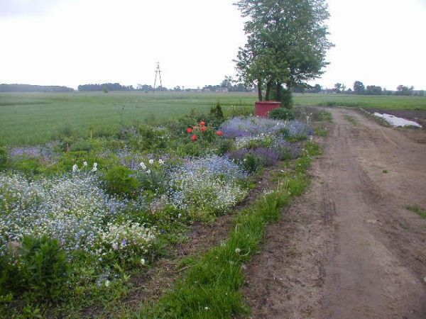 W oddali widok Bzowa