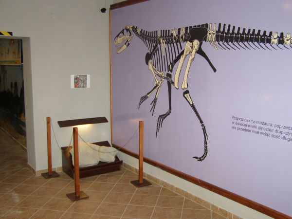Lisowice- Muzeum Paleontologiczne