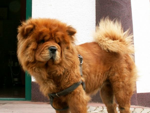 Ach ta wiejska kuchnia.