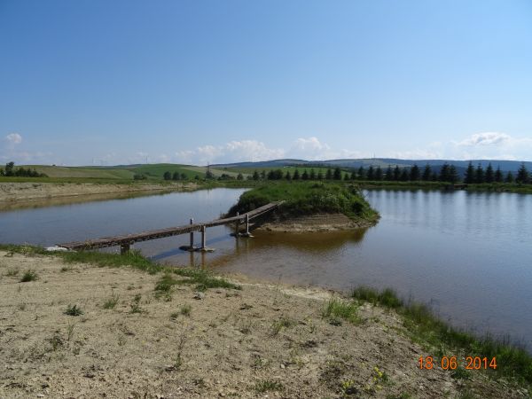 stawy - zarybione, własność prywatna.