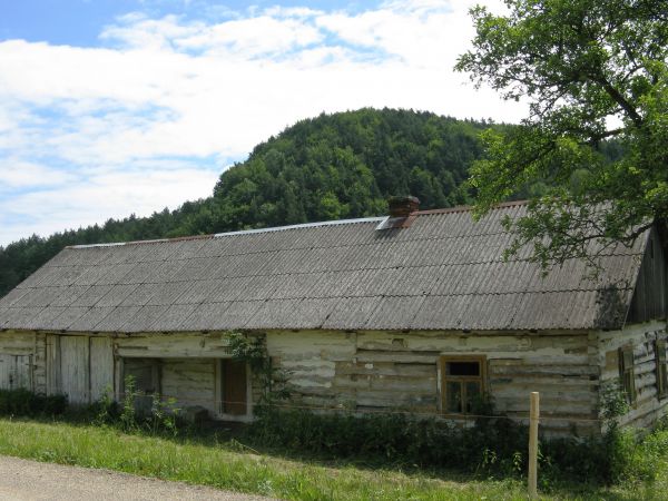 we wsi był młyn wodny, tartak,  karczma, eksploatowano źródła słone a solankę warzono, tartak dla samej tylko żupy solnej wytwarzał 124 metry sześcienne "brusów