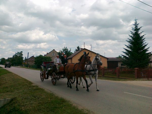 To ostatni taki zaprzęg  w okolicy ! Bryczka prowadzona przez mojego Kolegę (posiada dużą stadninę koni w Zagórzanach tel. kom. 604 185 114)   pędzi na wesele d
