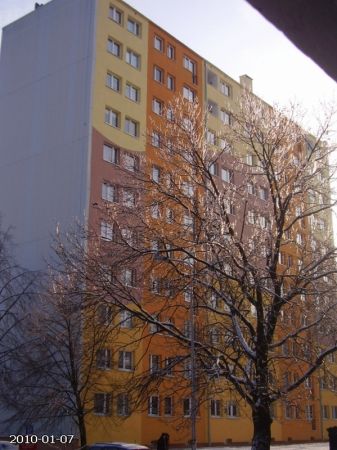 Między blokami osiedla Piastów