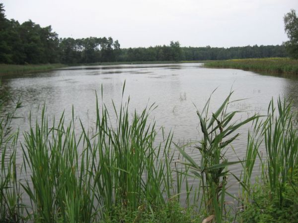 zdjecie Wierzchosławice