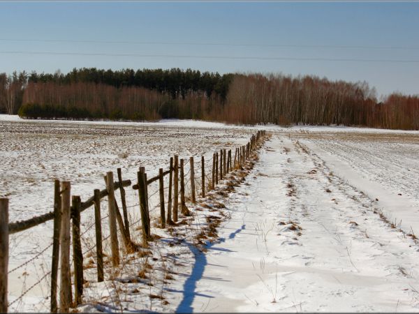 zdjecie Tyniewicze Duże
