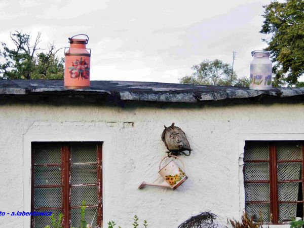 W JEDNYM Z OBEJŚĆ GOSPODARSKICH