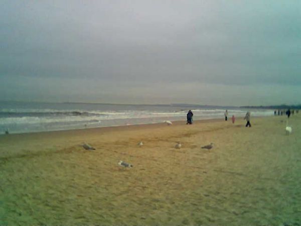 Bałtyk  w  styczniu